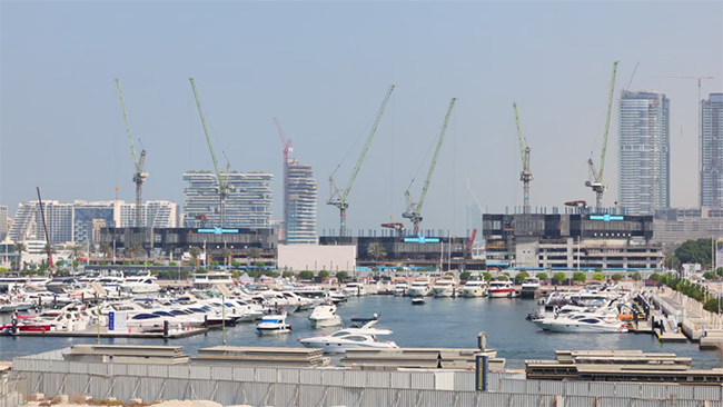 1772156323873008596.jpg 640.jpg